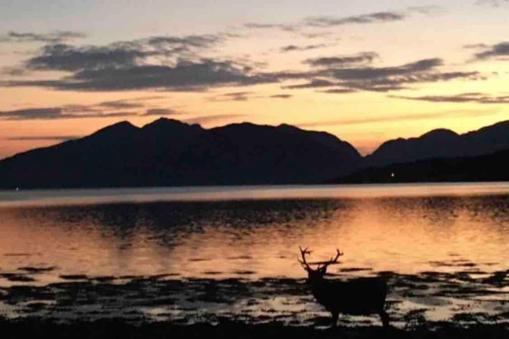 North Ballachulish The Fox'S Den, Luxury Cosy Mini Lodge, Highlands מראה חיצוני תמונה